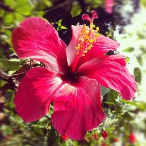 Meet your Posher, Janet